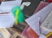 Polresta Deliserdang Ringkus Jurtul Bodong, Merek TK/DM Oppung Bos Dibiarkan Beroperasi dan Kebal Hukum