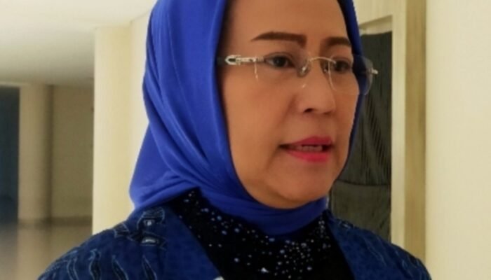 Ir, Hj Anita Lubis Meminta APH Agar Menindak Tegas Kepada Orang Orang Yang Praktik Mengoplos Beras