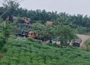 Kebal hukum, Galian C Ilegal di Sungai Ular Terang – Terangan Beroperasi, Pihak Kepolisian Bungkam