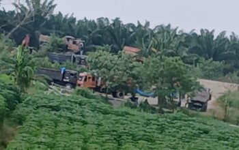 Kebal hukum, Galian C Ilegal di Sungai Ular Terang – Terangan Beroperasi, Pihak Kepolisian Bungkam