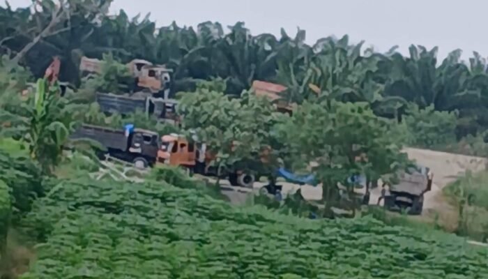 Kebal hukum, Galian C Ilegal di Sungai Ular Terang – Terangan Beroperasi, Pihak Kepolisian Bungkam