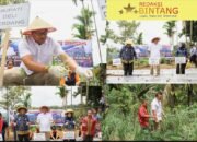 Sibolangit Dan Sibiru Biru Kecamatan Yang Akan Di Kembangkan Pengembangan Tempat Wisata Alam Di Deli Serdang Dan Kawasan Pertanian Cabai