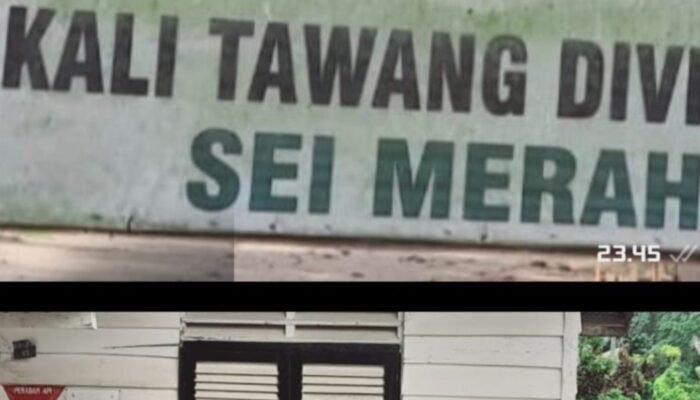 Security PT.LONSUM Tangkap Lepas Pencuri Aset Perkebunan