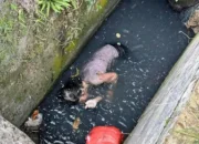 Seorang Wanita Ditemukan Tewas Di Parit Jalan Besar Delitua