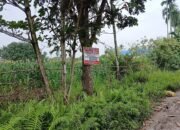 Bupati Deli Serdang Di Tuding Merampok Tanah Milik Dewi, Bupati: Silahkan Diperlihatkan Bukti Atas Kepemilikan Tanah, Warga: Tanah Garapan