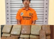 Polres Serdang Bedagai Menangkap Kurir Ganja Jaringan Kabupaten Mandailing Natal, Barang Bukti 24,6 Kg