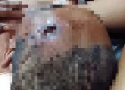 Sangat Sadis,Abang Beradik Siksa Andi Pranoto hingga Sekarat Lalu Dibuang Ke Sungai Ular