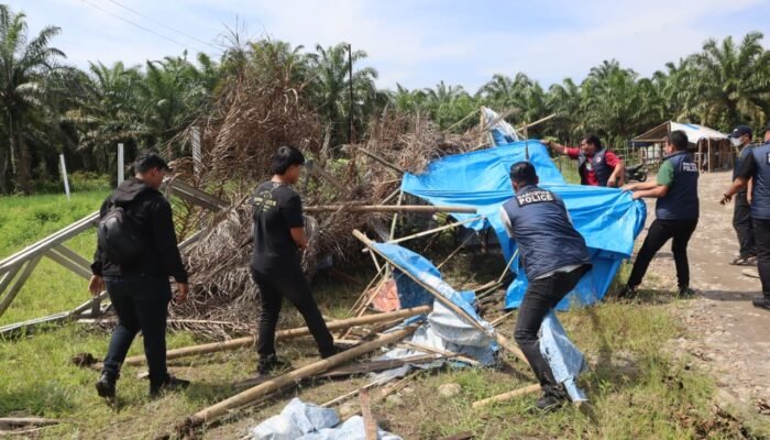 Barak Narkoba Di Bhakti Karya Binjai Selatan Kembali Digrebek Dan Dimusnahkan Polres Binjai