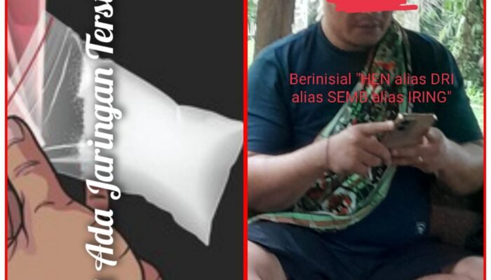 Diduga Inisial Alx Oknum Sat Narkoba Polresta Deliserdang Terlibat Jaringan Narkoba, Hen alias Dri Sebagai Pengedar di STM Hulu