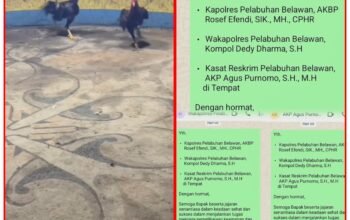 Jelang Operasi Besar Judi Sabung Ayam,Polres Belawan Dinilai Tutup Mata,Krisis Kepercayaan Masyarakat Marelan,18 April Menjadi Penentu Hukum