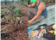 Pemilik Klaim Jadi Korban Penyerobotan Dan Ancaman,Sengketa Lahan Sawit Di Pangkalan Libut Memanas