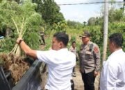 Polres Karo Kembali Gerebek Barak Narkoba dan Judi di Sukatendel