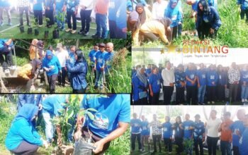 Demokrat Deli Serdang Menanam Pohon Gerakan Langit Biru Indonesia Asri