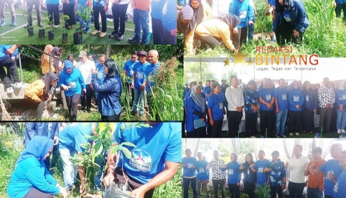 Demokrat Deli Serdang Menanam Pohon Gerakan Langit Biru Indonesia Asri
